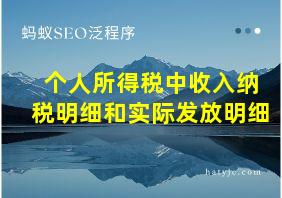 个人所得税中收入纳税明细和实际发放明细