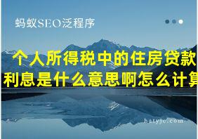 个人所得税中的住房贷款利息是什么意思啊怎么计算