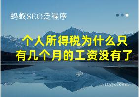 个人所得税为什么只有几个月的工资没有了