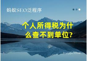 个人所得税为什么查不到单位?