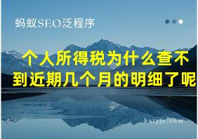 个人所得税为什么查不到近期几个月的明细了呢