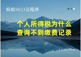 个人所得税为什么查询不到缴费记录