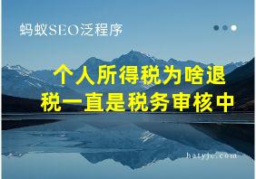 个人所得税为啥退税一直是税务审核中