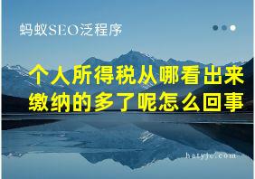 个人所得税从哪看出来缴纳的多了呢怎么回事