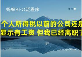 个人所得税以前的公司还是显示有工资 但我已经离职了