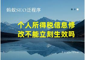 个人所得税信息修改不能立刻生效吗