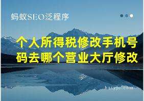 个人所得税修改手机号码去哪个营业大厅修改