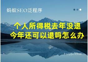 个人所得税去年没退今年还可以退吗怎么办