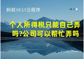 个人所得税只能自己弄吗?公司可以帮忙弄吗