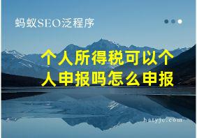 个人所得税可以个人申报吗怎么申报