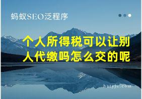 个人所得税可以让别人代缴吗怎么交的呢