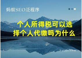 个人所得税可以选择个人代缴吗为什么