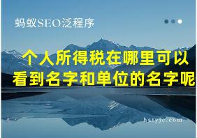 个人所得税在哪里可以看到名字和单位的名字呢