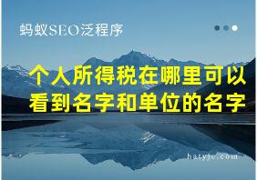 个人所得税在哪里可以看到名字和单位的名字