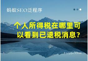 个人所得税在哪里可以看到已退税消息?