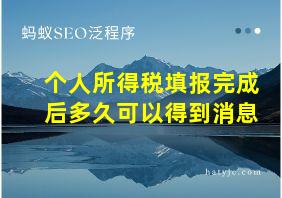 个人所得税填报完成后多久可以得到消息