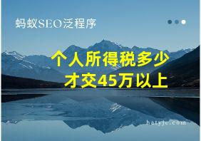 个人所得税多少才交45万以上