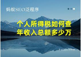 个人所得税如何查年收入总额多少万