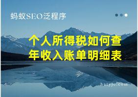 个人所得税如何查年收入账单明细表