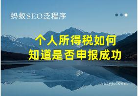 个人所得税如何知道是否申报成功