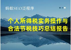 个人所得税实务操作与合法节税技巧总结报告