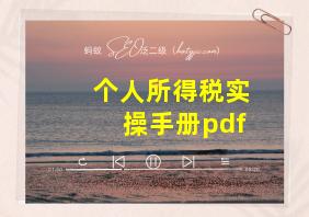 个人所得税实操手册pdf