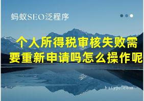 个人所得税审核失败需要重新申请吗怎么操作呢