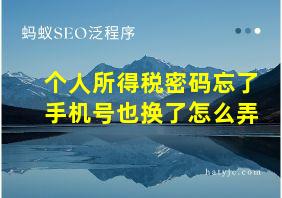 个人所得税密码忘了手机号也换了怎么弄