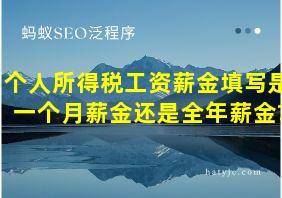 个人所得税工资薪金填写是一个月薪金还是全年薪金?