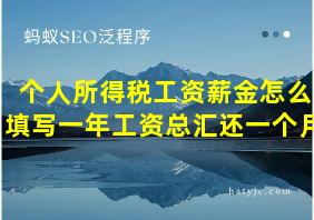 个人所得税工资薪金怎么填写一年工资总汇还一个月