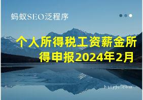 个人所得税工资薪金所得申报2024年2月