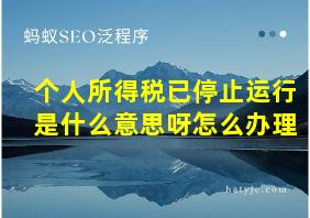 个人所得税已停止运行是什么意思呀怎么办理