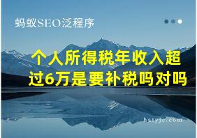 个人所得税年收入超过6万是要补税吗对吗