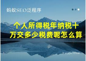 个人所得税年纳税十万交多少税费呢怎么算