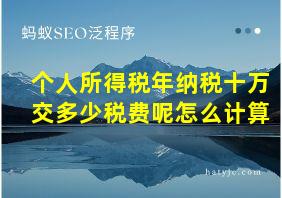 个人所得税年纳税十万交多少税费呢怎么计算