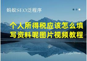 个人所得税应该怎么填写资料呢图片视频教程