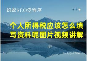 个人所得税应该怎么填写资料呢图片视频讲解