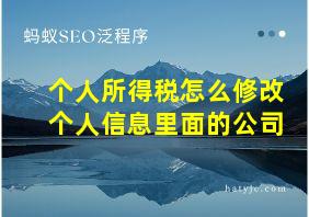 个人所得税怎么修改个人信息里面的公司