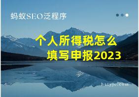 个人所得税怎么填写申报2023