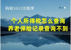 个人所得税怎么查询养老保险记录查询不到