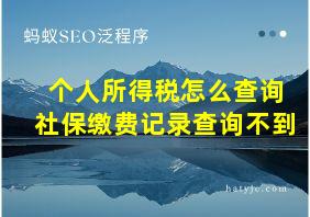 个人所得税怎么查询社保缴费记录查询不到