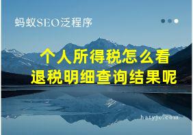 个人所得税怎么看退税明细查询结果呢