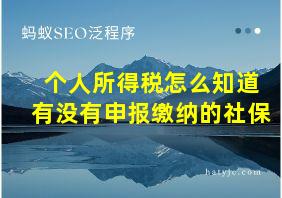 个人所得税怎么知道有没有申报缴纳的社保