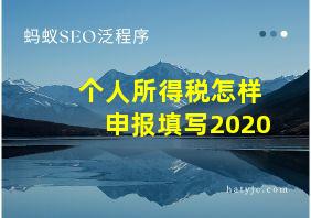 个人所得税怎样申报填写2020