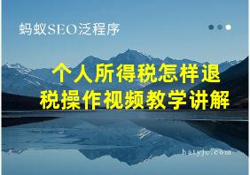 个人所得税怎样退税操作视频教学讲解