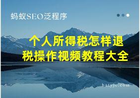 个人所得税怎样退税操作视频教程大全