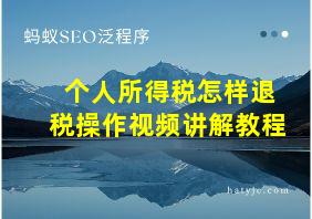 个人所得税怎样退税操作视频讲解教程