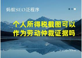 个人所得税截图可以作为劳动仲裁证据吗