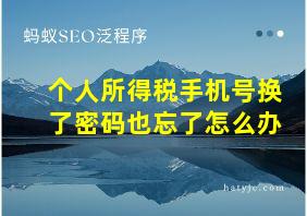 个人所得税手机号换了密码也忘了怎么办