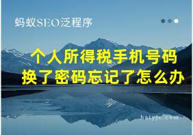 个人所得税手机号码换了密码忘记了怎么办